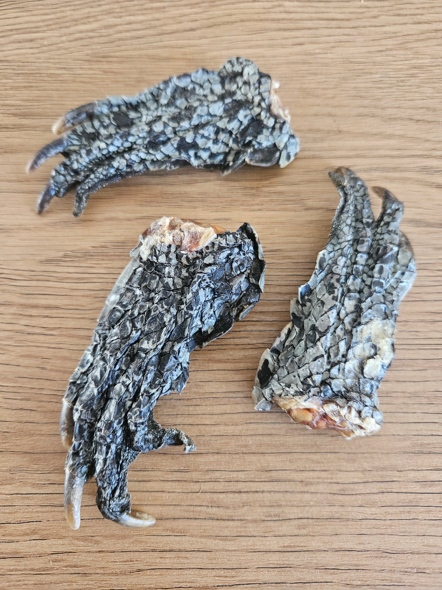 Croc Foot
