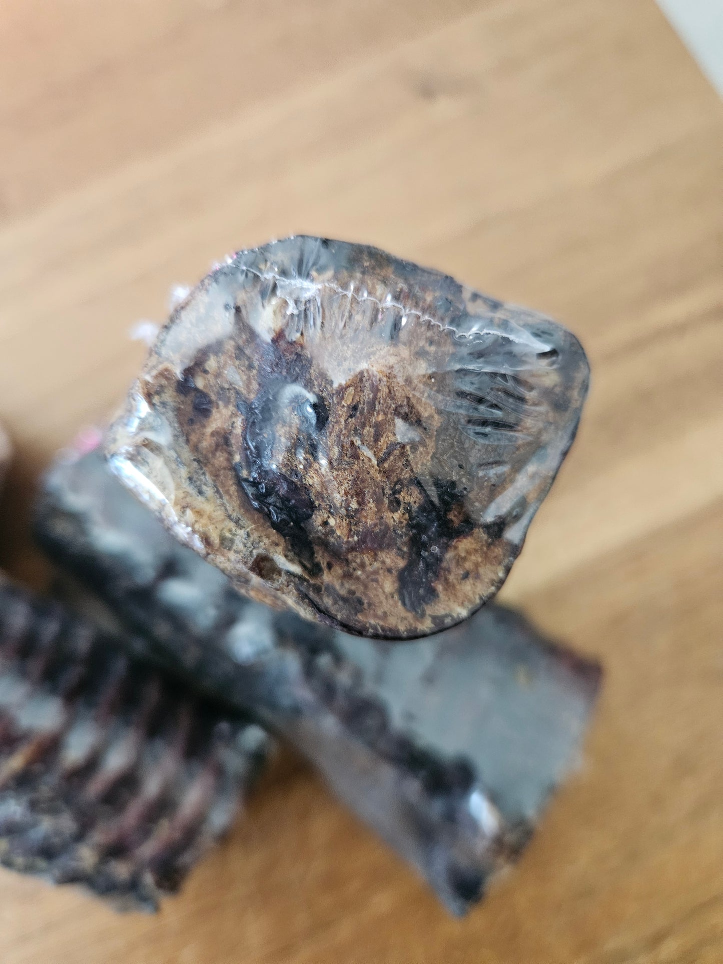 Cow Trachea (with Beef filling)