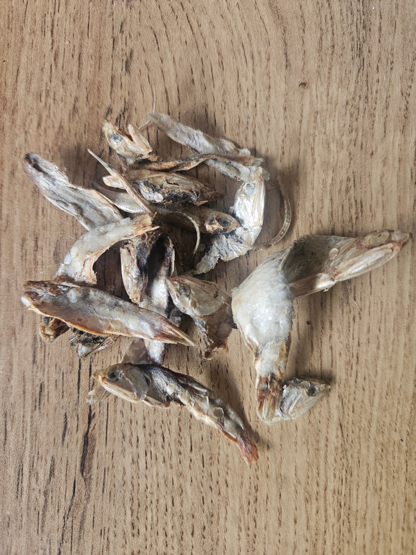 Pilchard Mix 100gm