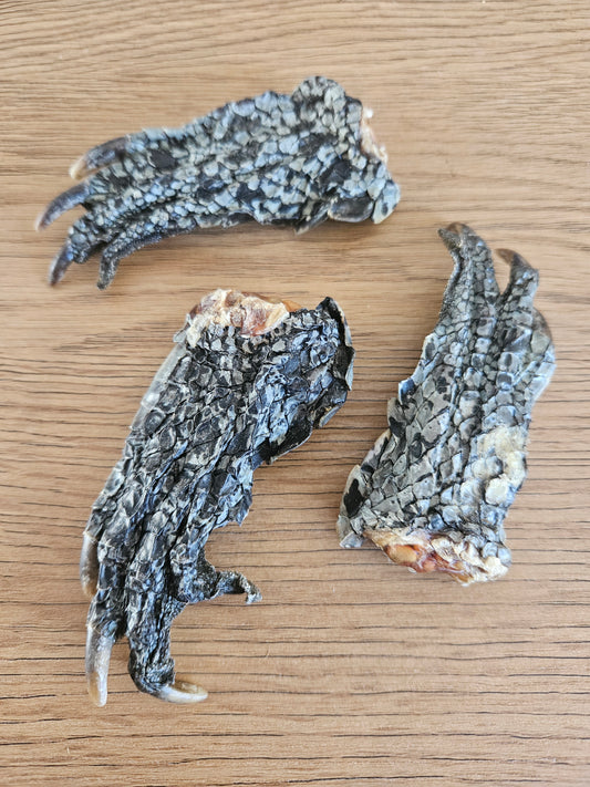 Croc Foot